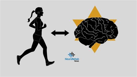 Detallan Efectos Positivos Del Ejercicio En El Cerebro Total Sapiens