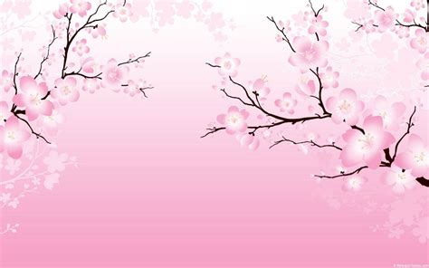 [500+] Cherry Blossom Wallpapers | Wallpapers.com