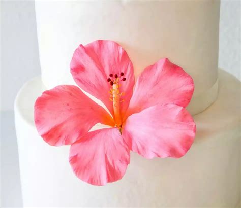 Hibiscus Flower Cake