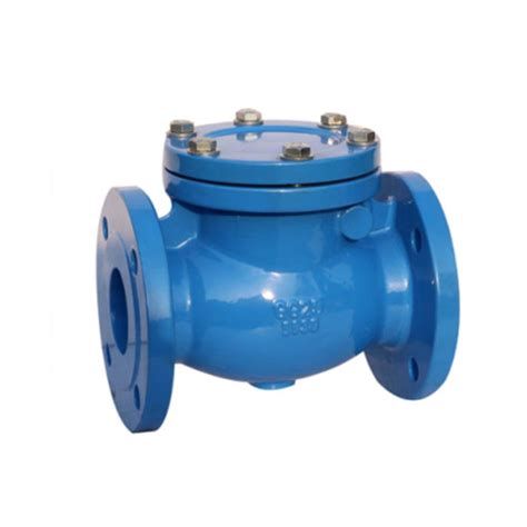 Gg25 Swing Check Valve Bs Din Ansi 10 Inch 150 Lb Rf Landee