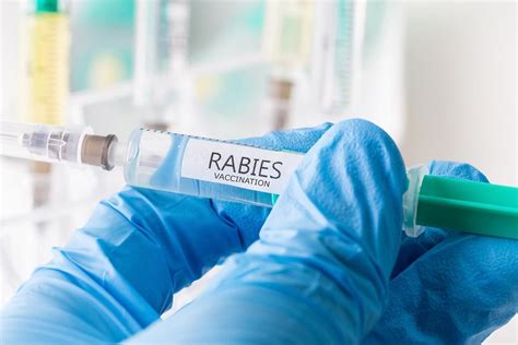 Rabies Vaccine for Humans | Explained - Insurdinary