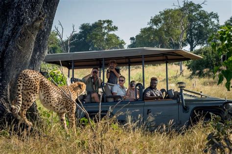 Luxe Rondreis Naar Botswana Exclusief Botswana En Vic Falls