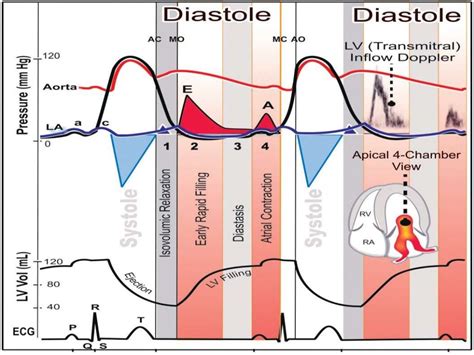 Diastolic Dysfunction 2016