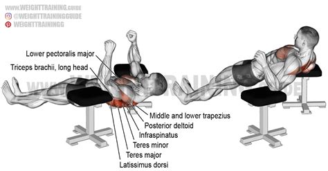 Elbow Friendly Chest Exercises