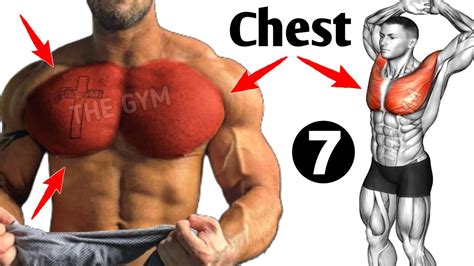 7 Perfect Chest Workout At Gym The Gym Youtube