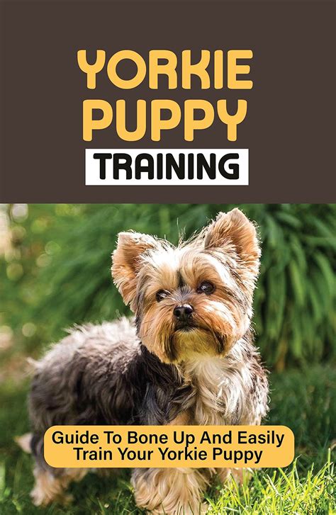 Yorkie Puppy Training: Guide To Bone Up And Easily Train Your Yorkie ...