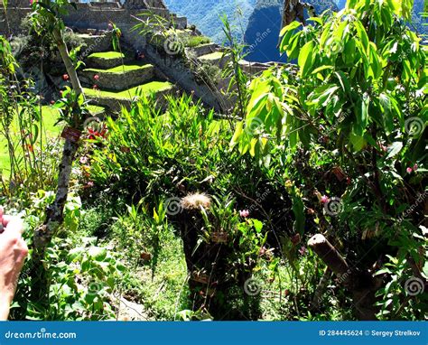 Machu Picchu Is Capital Of The Inca Empire In Andes Mountains Peru