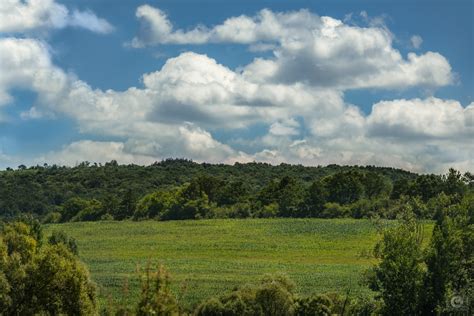 Rural Meadow Landscape Background - High-quality Free Backgrounds