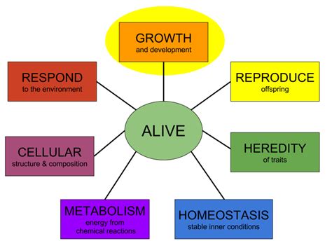 Grow And Develop — Characteristics Of Life Expii