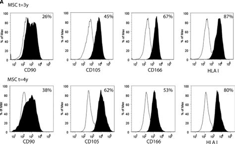 Immunophenotypical And Functional Characteristics Of Heart Msc Isolated