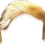 Trump Hair Meme Generator - Imgflip