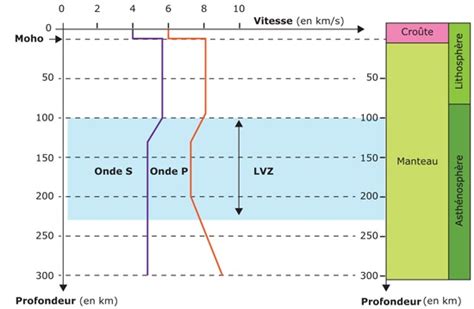 Cours Enseignement spécialité 1ère SVT HTM