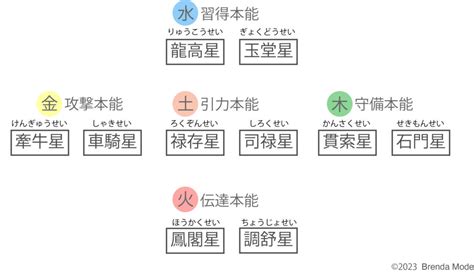 十大主星 ブレンダ流 元気になる算命学占い