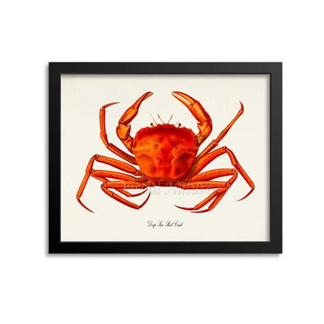 Deep Sea Red Crab Art Print Crab Art Print Crab Wall Art Crab Print