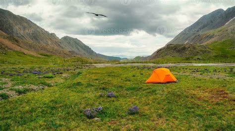 Panoramic view of the camping on the summer green high-altitude plateau ...