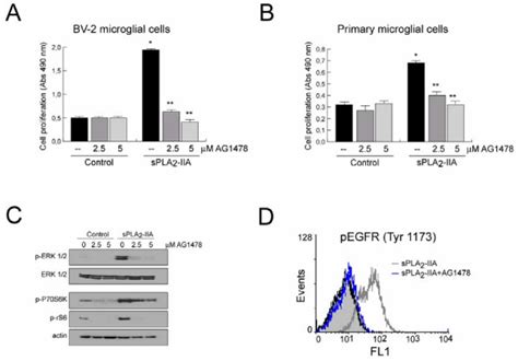 Spla Iia Induced Proliferation In Microglial Cells Is Dependent On