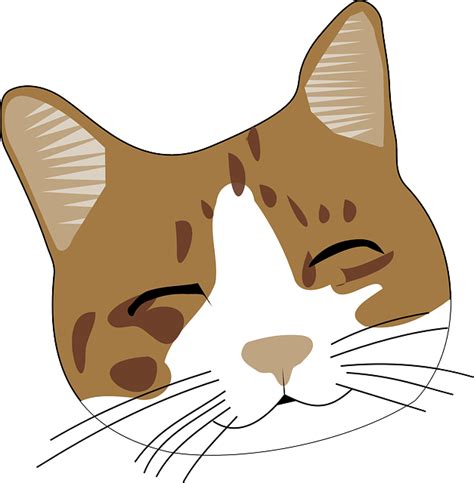 Clipart Cat Face