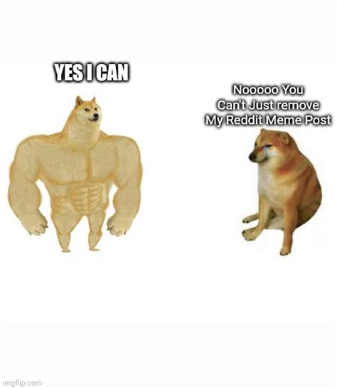 Strong Doge Weak Doge Memes Imgflip