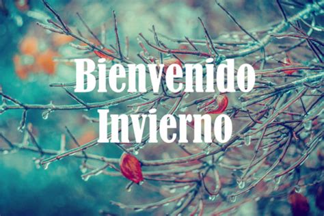 Im Genes De Hola Invierno Bienvenido Invierno Lleg El Invierno