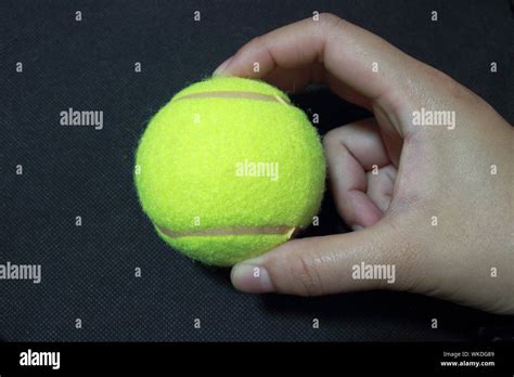 Hand Holding Tennis Ball Hi Res Stock Photography And Images Alamy