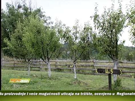 AgroDan_27.12.2014 - YouTube