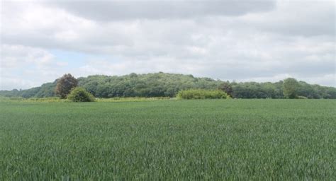 Land Off Barff Lane Brayton Selby Csa Environmental