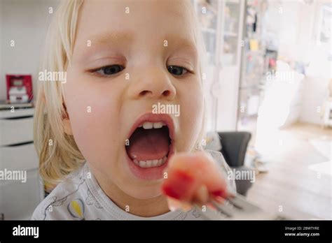 A Bocca Aperta Immagini E Fotografie Stock Ad Alta Risoluzione Alamy