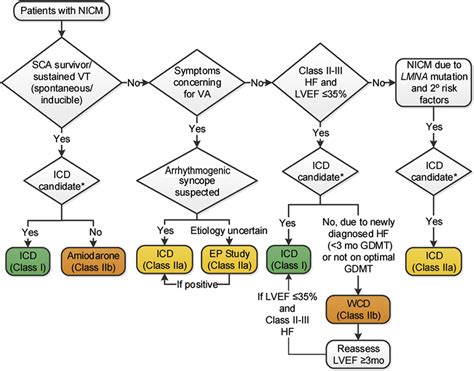 Aha Acc Hrs Guideline For Management Of Patients With Ventricular