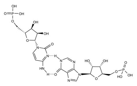 Polyinosinic Polycytidylic Acid Tlr Ligand Tested