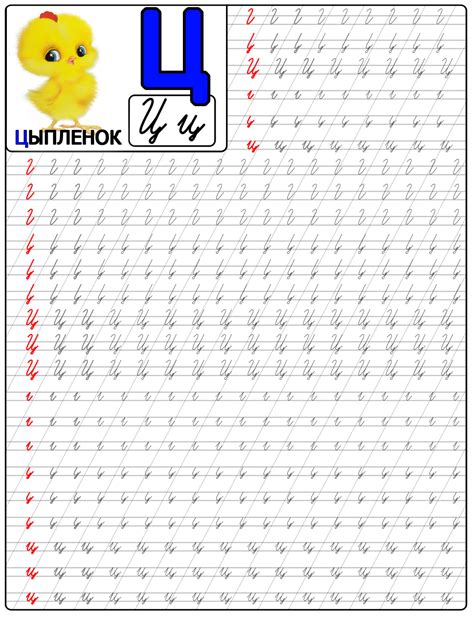 Пропись буква Ц для детей учимся писать распечатать