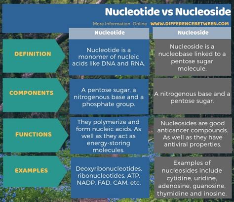 Difference Between Nucleotide And Nucleoside Compare The Difference