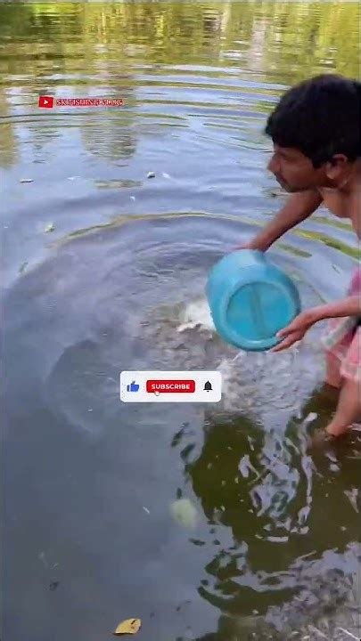 কৈই মাছ 🐟আর তেলপি মাছের🐟 নতুন খাবার ।।fish Viral Shortvideo