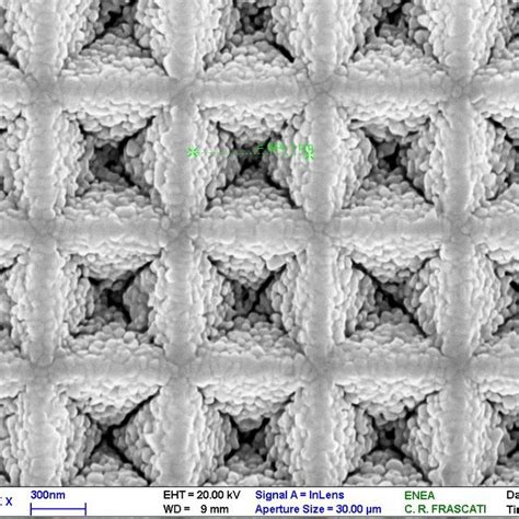sem images   portion   sers substrate