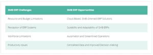 What Is A Small Business Erp What Erp Features Smbs Need Millennium