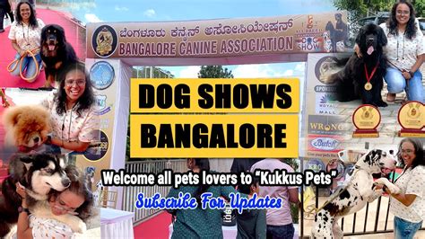 Dog Shows In Bangalore Dog Show 2022 Bangalore Bangalore Canine