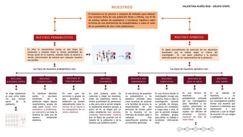 MAPA CONCEPTUAL DE MUESTREO