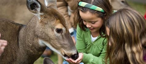 Wisconsin Deer Park-love it. Been there many times. Rye Krisp ...