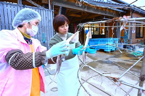 【おき得対象】海士町産の新鮮なイカを捌いて、しぃしび（一夜干し）作り体験 体験予約 隠岐の島旅【公式】