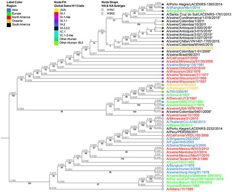 Frontiers Zooming In On The Molecular Characteristics Of Swine