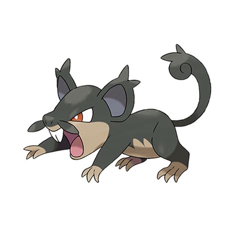 Rattata | Pokédex