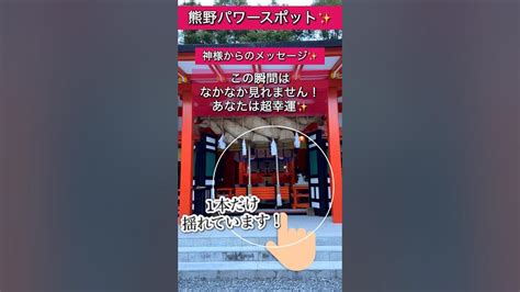 ⚠️神回※ もし逃したら2度とないです【熊野速玉大社】見たら超幸運！神様からのメッセージ！龍神様が現れた 神社 パワースポット 龍神