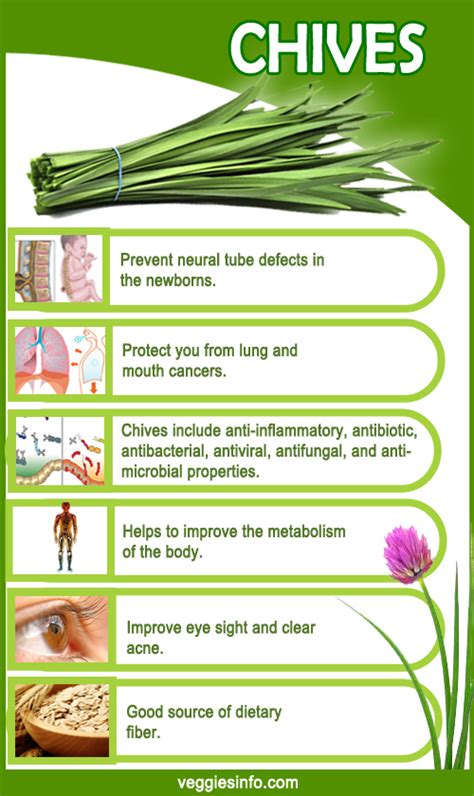 Chives Growth Nutrition Facts and its Health Benefits | Veggies Info