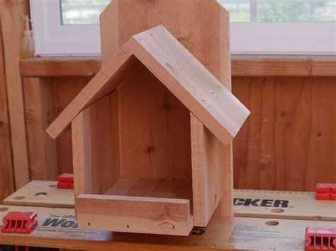 3 Diy Cardinal Bird House Plans You Can Make Today Optics Mag