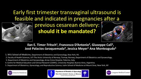 Pdf Early First Trimester Transvaginal Ultrasound Is Feasible › Isuog › Pdf › Presentation