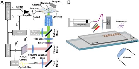 Multiplexed Sensing Of Biomolecules With Optically Detected Magnetic