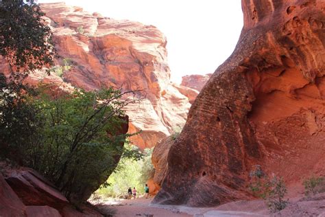 Hiking The Red Reef Trail In Red Cliffs Recreation Area Utah Parks