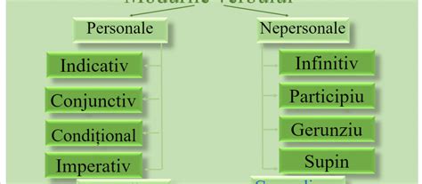 Modurile Nepredicative Ale Verbului Meditatii