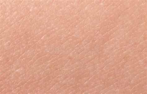 Texture Of Skin Closeup Stock Photo Image Of People