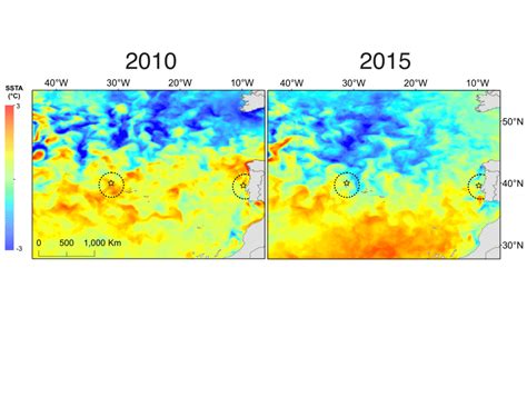 Mean sea surface temperature anomaly (SSTA) displayed for the study ...