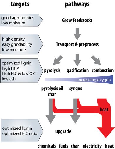 Frontiers Biomass For Thermochemical Conversion Targets And